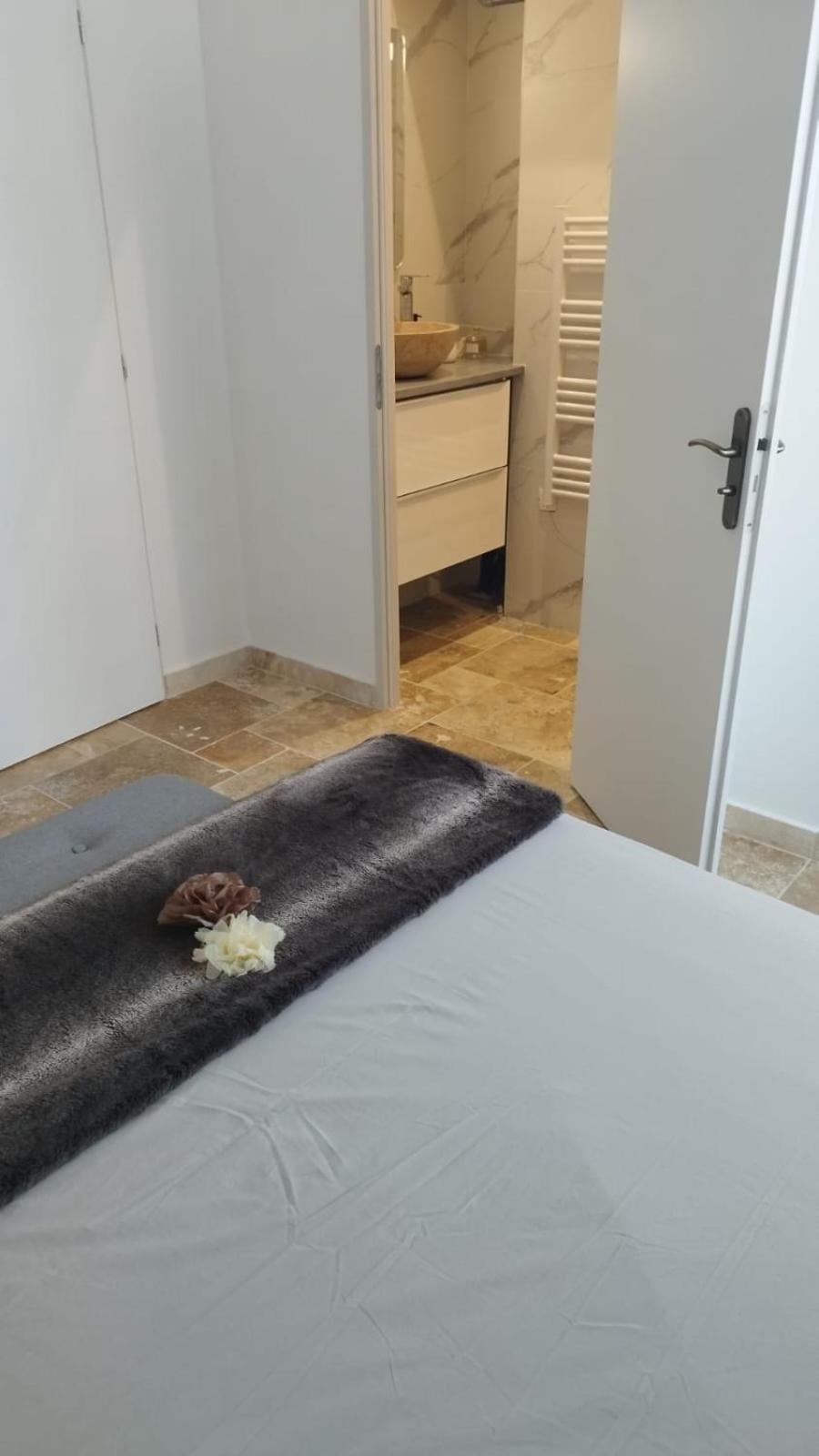 Appartement Lumineux En Rdc Bourgoin-Jallieu Ngoại thất bức ảnh